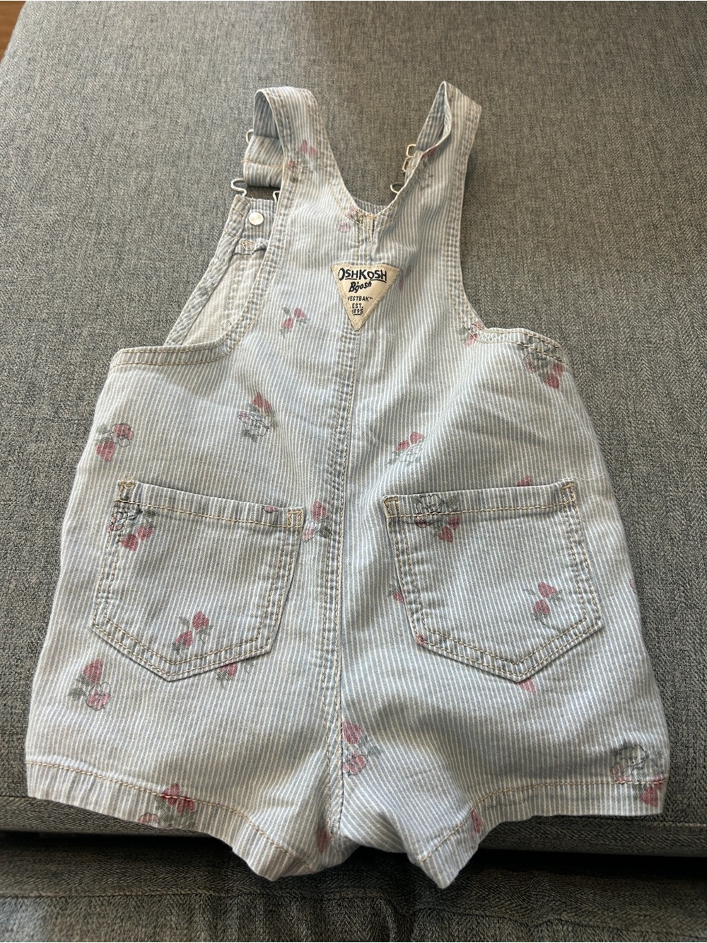 OshKosh B'gosh Light Blue Striped Floral Shortalls